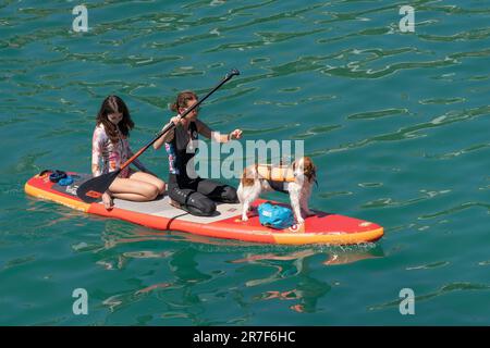 Urlauber und ihr Hündchen paddeln auf einem Stand-Up-Paddleboard im Newquay Harbour Harbor in Cornwall, England, Großbritannien. Stockfoto