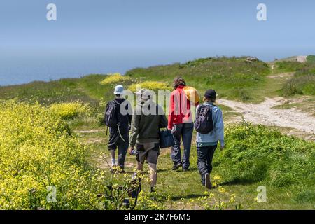 Eine Gruppe männlicher Freunde, die entlang der Warren am Pentire Point East in Newquay in Cornwall in Großbritannien, Europa spazieren Stockfoto