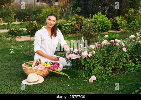 Gesunde, glückliche Frau, die im Blumengarten arbeitet, auf Gras sitzt, Dahlienblüten schneidet, Naturleben, Hobby und Freizeit Stockfoto