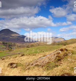 Die Coniston Fells, vom Hügel über Kelly Hall Tarn, Lake District aus gesehen Stockfoto