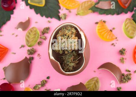 Schokoladenei mit trockenen Knospen von medizinischem Marihuana innen auf rosa Hintergrund. Umgeben von Cannabisblättern, Gummibärchen und Schokoladenstückchen Stockfoto