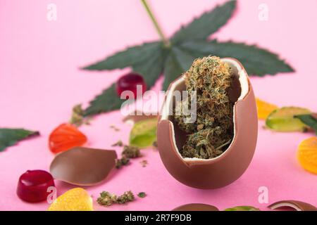 Schokoladenei mit trockenen Knospen von medizinischem Marihuana innen auf rosa Hintergrund. Umgeben von Cannabisblättern, Gummibärchen und Schokoladenstückchen Stockfoto