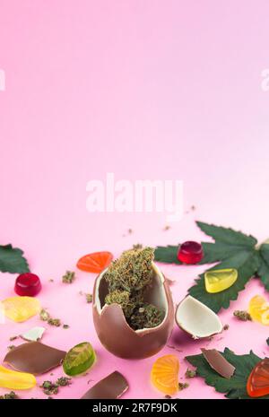 Schokoladenei mit trockenen Knospen von medizinischem Marihuana innen auf rosa Hintergrund. Umgeben von Cannabisblättern, Gummibärchen und Schokoladenstückchen Stockfoto