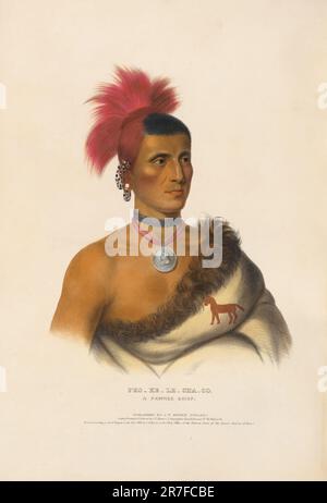 PES-ke-le-cha-Co - Ein Pawnee-Chef 1841 Stockfoto