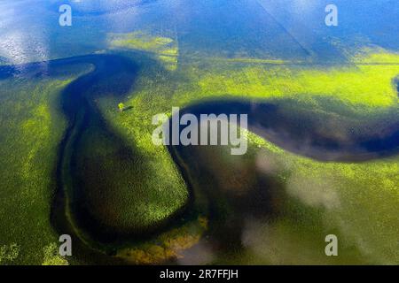 Wunderschöner Blick aus der Luft auf ein kleines Flussbett unter Wasser auf dem Cerknica-See, dem größten intermittierenden See, grasbewachsenen Feldern rund um den Bach, slowenien Stockfoto