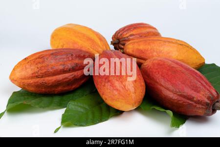 Gruppe orangefarbener Kokosnadeln auf grünen Blättern isolierte Makroansicht Stockfoto