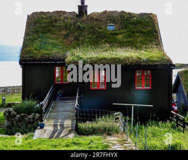 Ein charmantes Landhaus mit einem Strohdach und roten Fensterläden Stockfoto