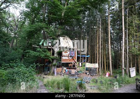 Morschenich, Deutschland. 14. Juni 2023. Verlassene Baumhäuser stehen in Hambacher Forst. Die Räumung des Hambachwaldes im Jahr 2018 wird am Freitag (16.06.2023) vom Nordrhein-Westfälischen Oberverwaltungsgericht in Münster behandelt. Kredit: Federico Gambarini/dpa/Alamy Live News Stockfoto