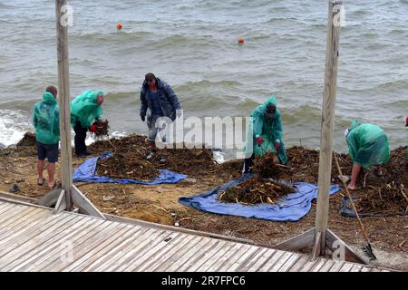 Nicht exklusiv: ODESA, UKRAINE - 14. JUNI 2023 - Trümmer, die von der Strömung nach der Explosion der HPP Kakhovka durch russische Truppen stammen Stockfoto