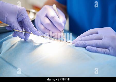 Nahaufnahme der Rinde zeigt den Operationsprozess Stockfoto