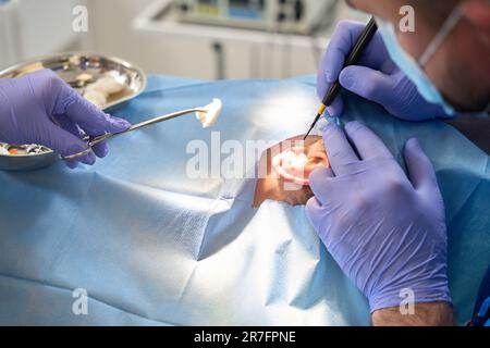 Chirurg, der am Patientenohr mit dem Ultraschallmesser operiert Stockfoto