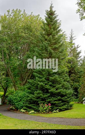 Akureyri Botanical Garden (Lystigardurinn) der nördlichste Botanische Garten der Welt, gegründet 1912. Akureyri, Island. 20. vom Juli 2012 Stockfoto