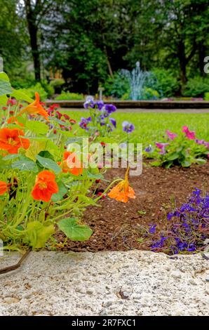 Akureyri Botanical Garden (Lystigardurinn) der nördlichste Botanische Garten der Welt, gegründet 1912. Akureyri, Island. 20. vom Juli 2012 Stockfoto