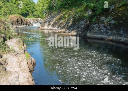 Schaum auf dem Wasser am Teifi bei den Cenarth Falls, Ceredigion, Wales, Großbritannien Stockfoto