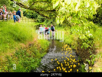 Das Duck Race endet beim East Budleigh Scarecrow Festival mit Unterstützung der All Saints Church. Stockfoto