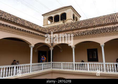 MALAGA, SPANIEN - 20. MAI 2023: Besuch des Picasso-Museums am Abend der freien Kultur in Malaga, Spanien am 20. Mai 2023 Stockfoto