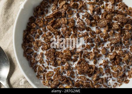 Gesundes Süßschokolade Kakao Frühstückscerealien mit Vollmilch Stockfoto