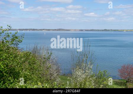 Ostsee-Landschaft im Frühling mit blühenden Obstbäumen Stockfoto