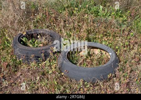 Bild von gebrauchten Reifen, die als Müll in einem natürlichen Gebiet geworfen werden, zersetzen sich, während sie von Vegetation umgeben sind Stockfoto