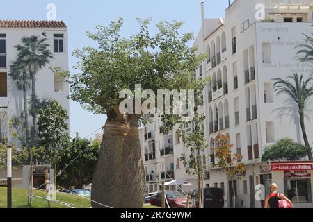 Estepona, Spanien - 27. August 2015: Wandbild "Reflections of the Garden" von Jose Fernandez Rios 2013. Auftrag zur Fertigstellung des Botanischen Parks. Stockfoto