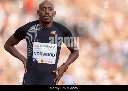 Oslo, Norwegen, 15. Juni 2023, Kredit: Nigel Waldron/Alamy Live News Stockfoto