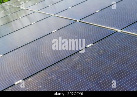 Nahaufnahme der im Garten auf dem Boden installierten Solarpaneele Stockfoto