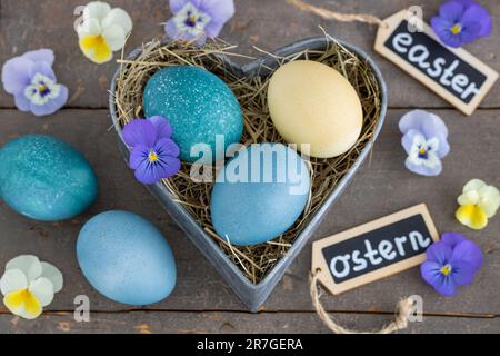 osterdekoration mit bemalten Eiern und Violenblumen Stockfoto