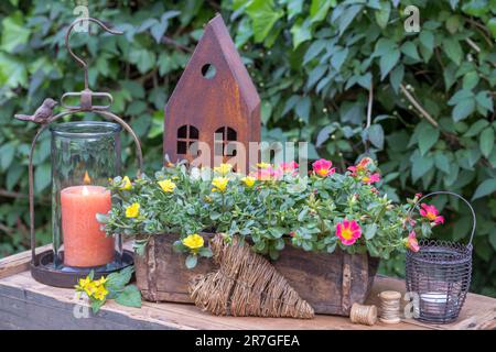 Rustikale Gartenanlage mit Portulak in alter Ziegelform und Laternen Stockfoto