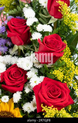 Eine Gruppe roter Rosen auf einem Bouquet-Hintergrund, Makro-Nahaufnahme Stockfoto