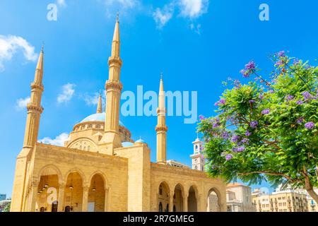 Blaue Kuppel der Mohammad Al-Amin-Moschee mit blühendem Jacaranda-Baum im Zentrum von Beirut, Libanon Stockfoto