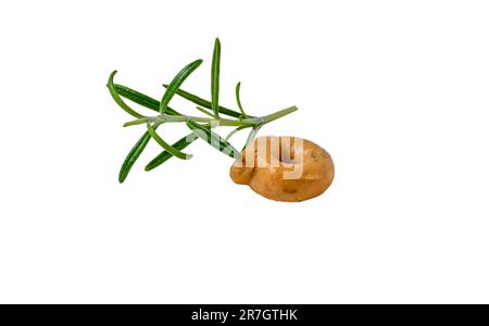 Ein einzelner Taralli-Keks mit einem Zweig Rosmarin. Über Schuss. Stockfoto
