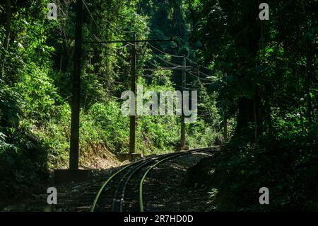 Die Bahngleise der Corcovado Rack Railway fahren an einem sonnigen Tag bergauf zwischen einem dunklen Abschnitt der dichten Tijuca-Waldvegetation. Stockfoto