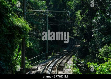 Ein S-förmiger Abschnitt der Corcovado Rack Railway Gleise, der an einem sonnigen Tag zwischen der dichten Tijuca-Waldvegetation in der Nähe einer Brücke verläuft. Stockfoto