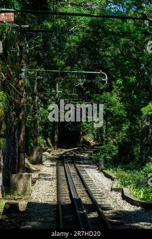 Ein gerader Abschnitt der Corcovado Rack Railway verläuft zwischen dem dichten Tijuca-Wald im Viertel Santa Teresa an einem sonnigen Sommertag. Stockfoto