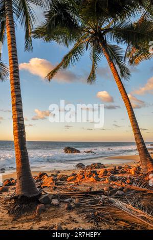 Ein Sandstrand bei Sonnenuntergang, umrahmt von Palmen in San Pancho, Mexiko. Stockfoto