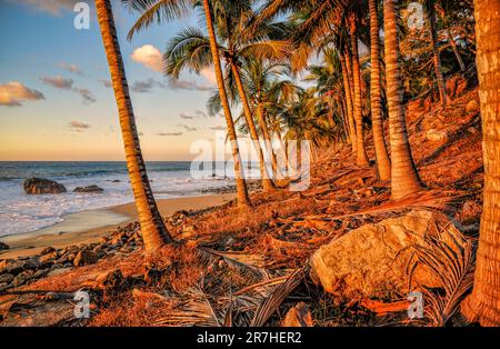 Ein Sandstrand bei Sonnenuntergang, umrahmt von Palmen in San Pancho, Mexiko. Stockfoto