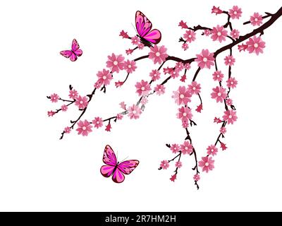 vector eps 10 Darstellung eines Zweigs mit Kirschblüten Stock Vektor