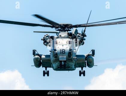 Der fantastische Sea Hallion Hubschrauber. Stockfoto