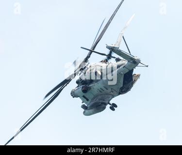 Der fantastische Sea Hallion Hubschrauber. Stockfoto