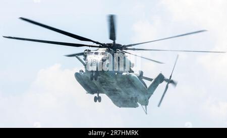 Der fantastische Sea Hallion Hubschrauber. Stockfoto