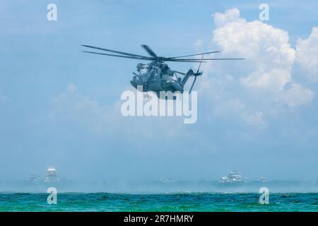 Der fantastische Sea Hallion Hubschrauber. Stockfoto