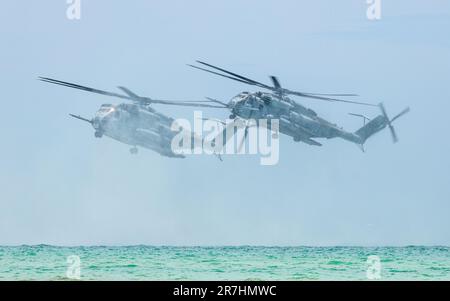 Der fantastische Sea Hallion Hubschrauber. Stockfoto