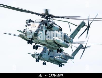 Der fantastische Sea Hallion Hubschrauber. Stockfoto