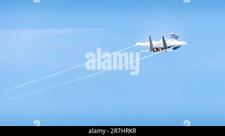 Der unglaubliche Adler bringt den Dampf. Stockfoto