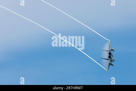 Der unglaubliche Adler bringt den Dampf. Stockfoto