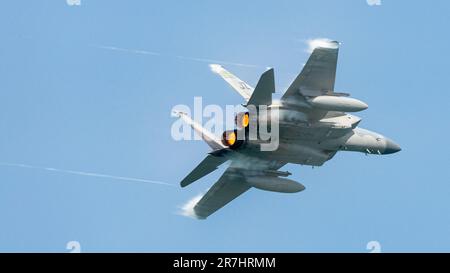 Der unglaubliche Adler bringt den Dampf. Stockfoto