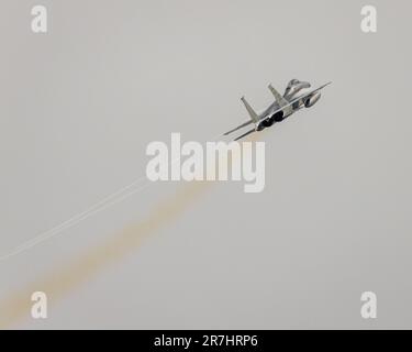 Der unglaubliche Adler bringt den Dampf. Stockfoto