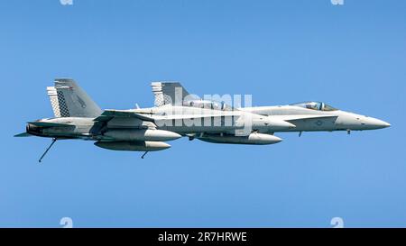 Der unglaubliche Hornet-Fliegenflieger. Stockfoto