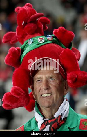 Ein Unterstützer erwartet den Start von Wales gegen Frankreich, das erste Halbfinalspiel der Rugby-Weltmeisterschaft 2011, Eden Park, Auckland, Neuseeland, Samstag, 15. Oktober 2011. Stockfoto