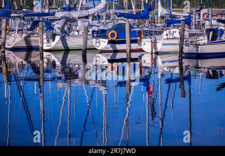 Rerik, Deutschland. 31. Mai 2023. Segelboote liegen vor Sonnenaufgang im kleinen Yachthafen in der Salzlagune und spiegeln sich im ruhigen Wasser wider. Kredit: Jens Büttner/dpa/Alamy Live News Stockfoto